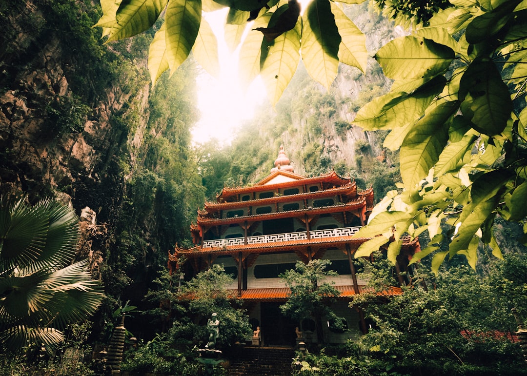 Jungle photo spot Ipoh Sam Poh Tong Temple