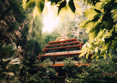 brown and white structure between trees malaysia google meet background