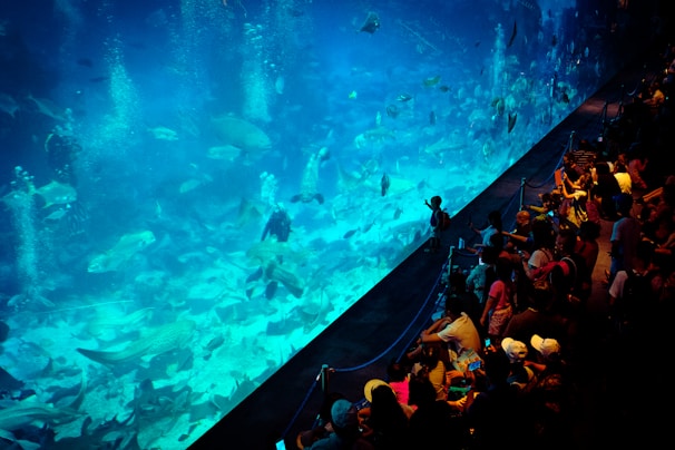 A large crowd of people observes a massive aquarium filled with various fish and marine life. The scene is illuminated by the blue hue of the water, creating a vibrant underwater atmosphere. The aquarium glass separates the spectators from the aquatic environment, and many visitors are taking photos or pointing out different sea creatures.