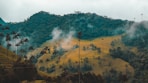 smokey mountain with coconut palm trees
