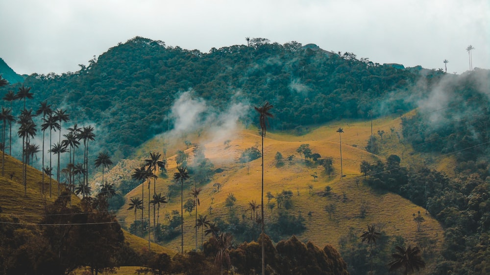 Montanha fumegante com coqueiros