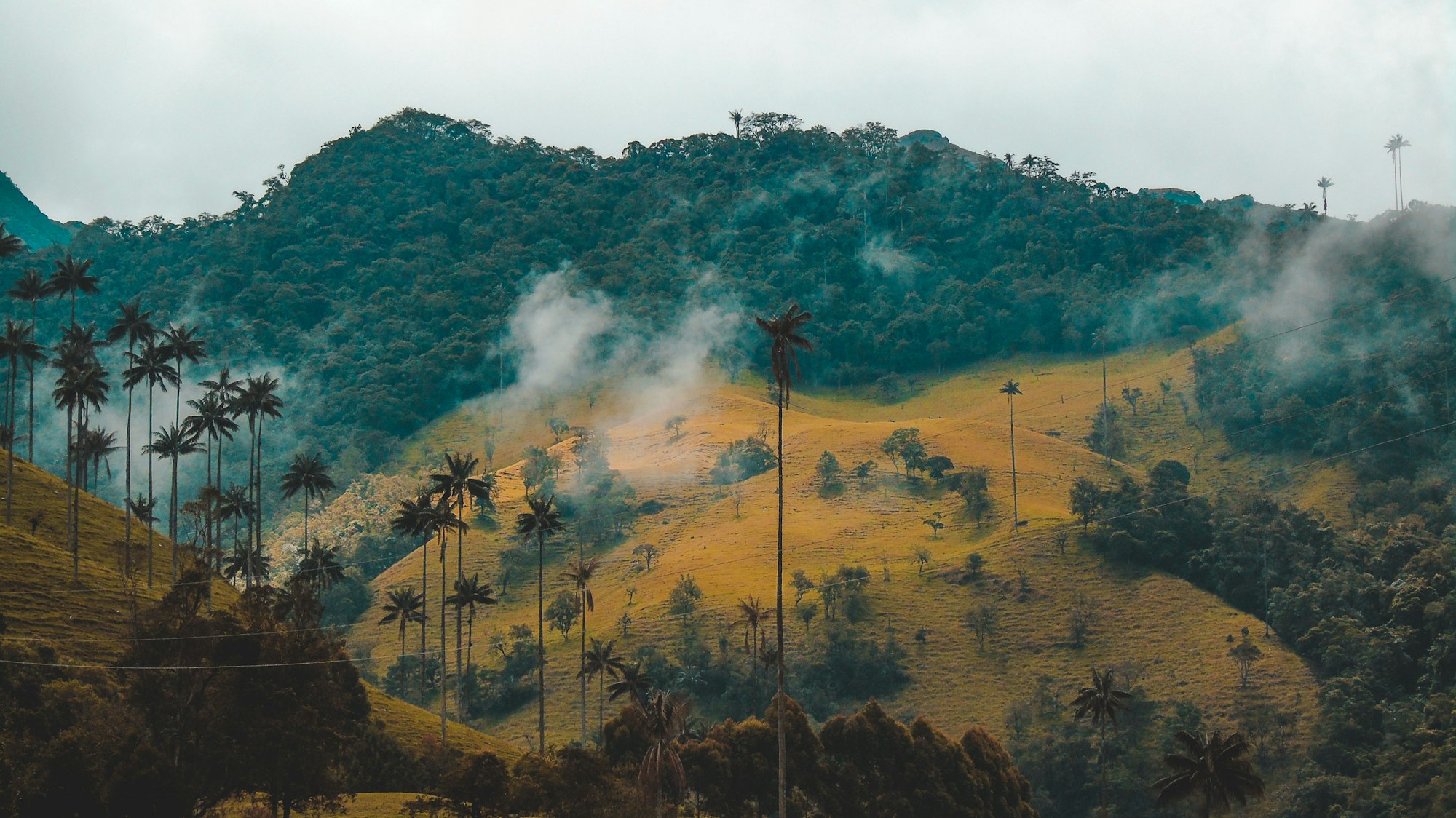 Watch a video from the ground at our project in the Peruvian Amazon!