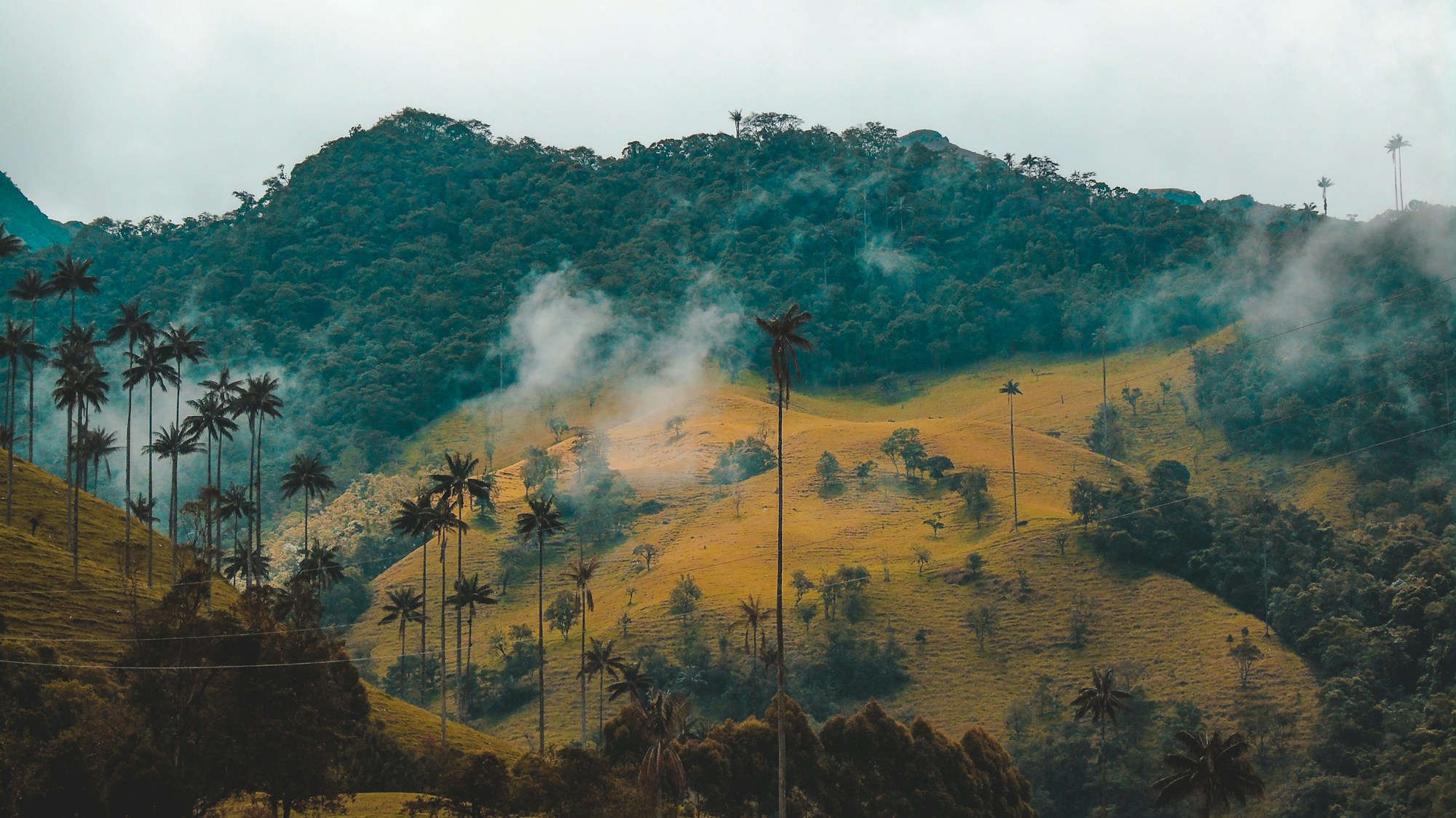 What to See in Colombia: A Travel Guide
