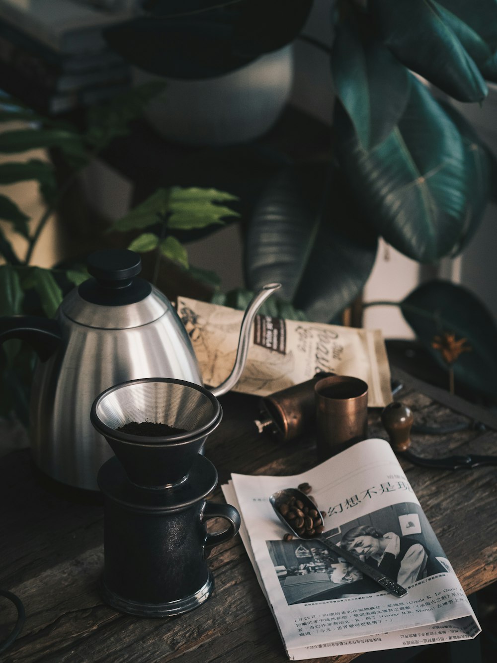 Molinillo de café negro al lado de una tetera de acero inoxidable gris cerca de una planta de caucho verde
