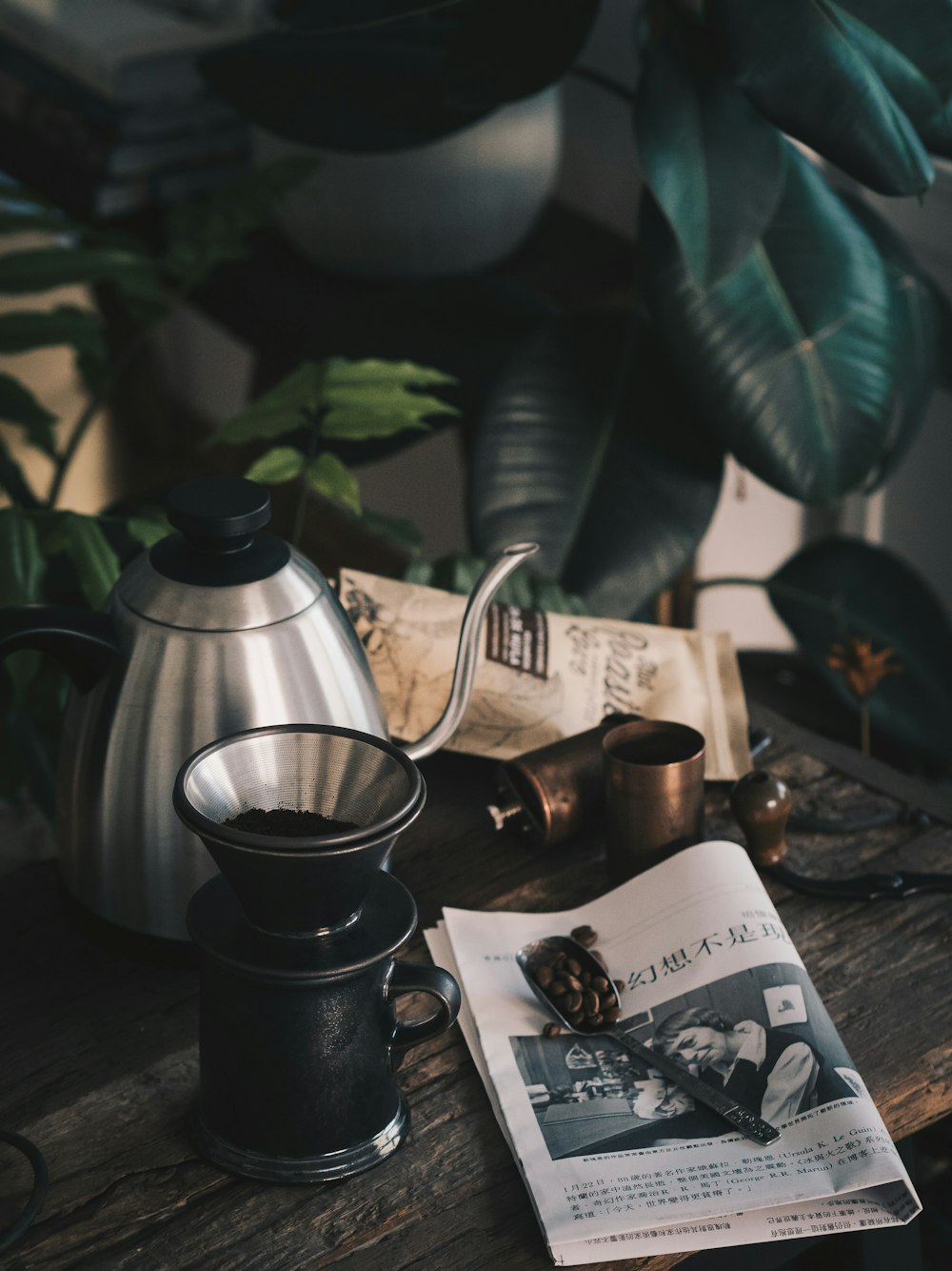 moulin à café noir à côté d’une théière en acier inoxydable gris près d’une usine de caoutchouc vert