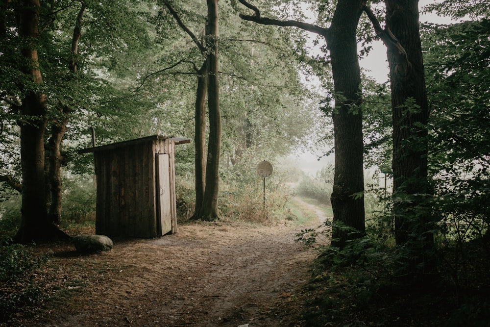 brown shack surrounded trees