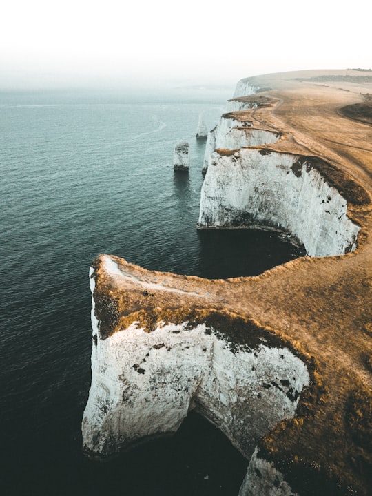 aerial view photography of mountain cliff near body of water at daytime in Old Harry Rocks United Kingdom