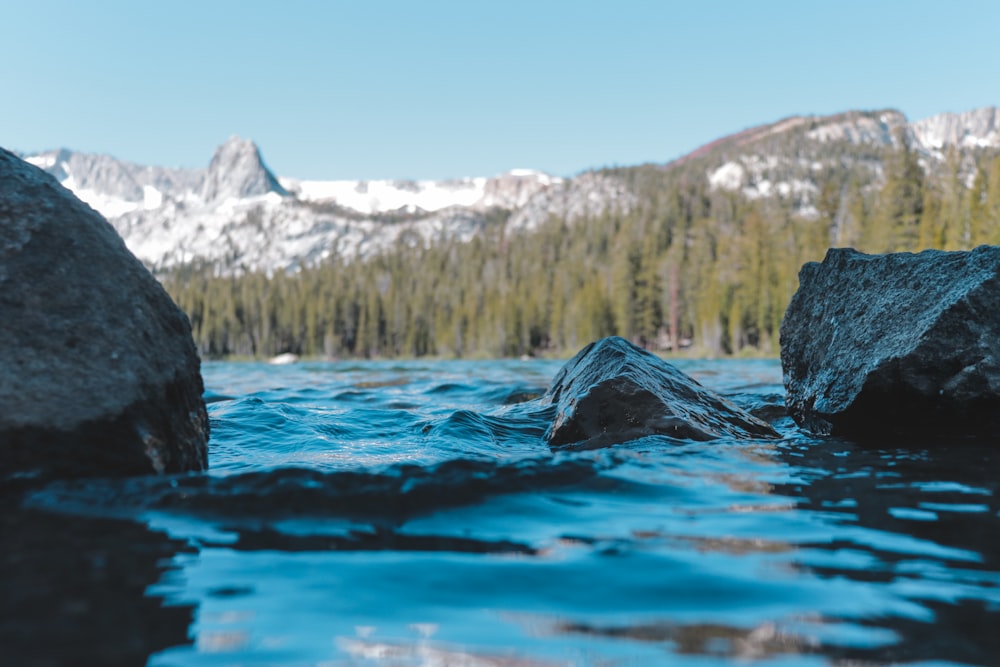 stone in body of water