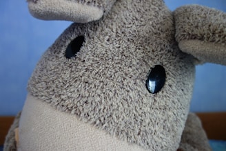 A close-up of a plush toy featuring a textured, furry surface. The toy has large, shiny black eyes and floppy ears. The background is a plain light blue wall.
