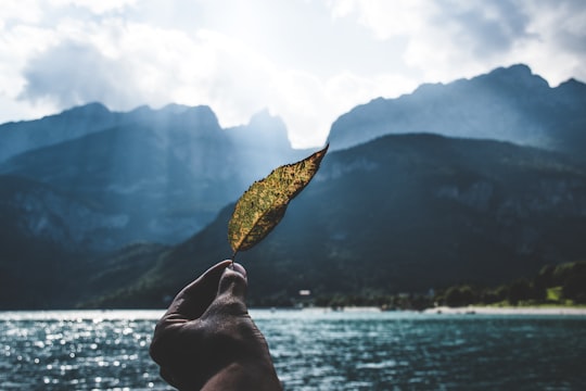 person holding green leaf during daytime in Lake Molveno Italy