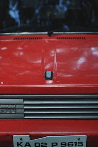 A vintage red car hood with a badge labeled 'RUTI 800' on a chrome grille. The car's license plate shows 'KA 02 P 9615'. The image features reflections of trees above, creating an outdoor setting.