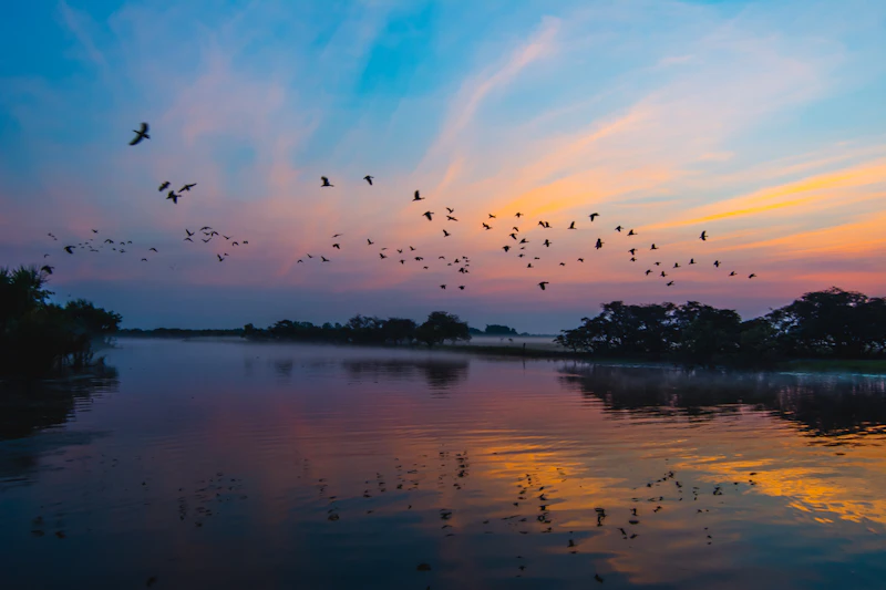 Kakadu National Park Tours