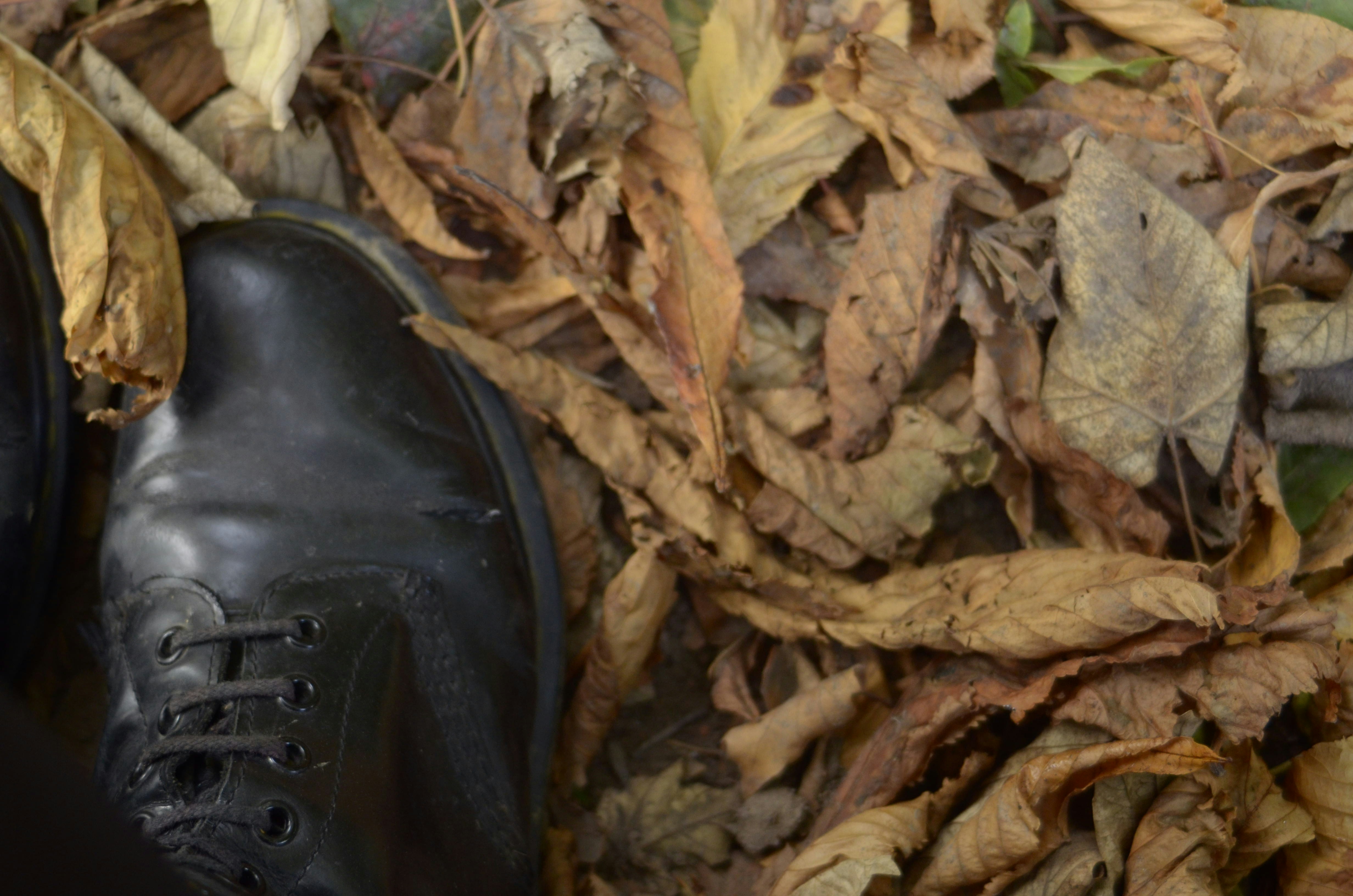 Stylish Seasonal Footwear