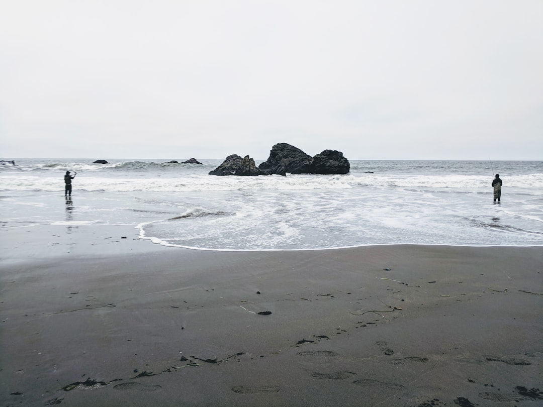 Beach photo spot Unnamed Road Gray Whale Cove State Beach