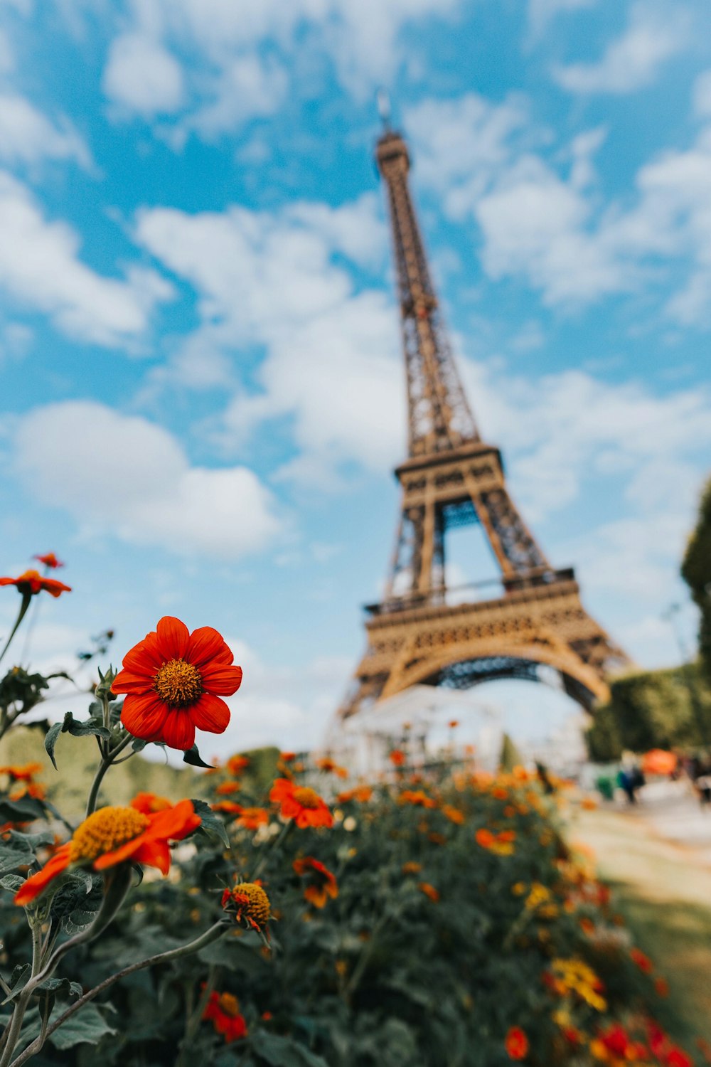 jardim de flores perto da Torre Eiffel