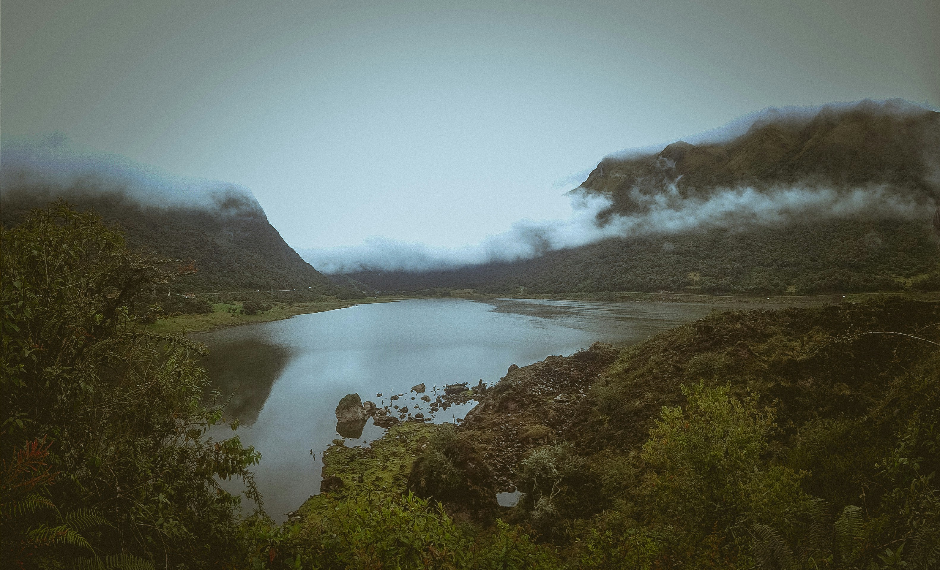 green tree and lake ecuador teams background