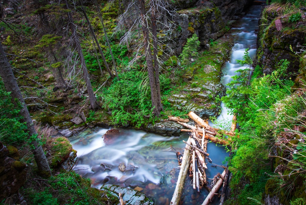 waterfall nature