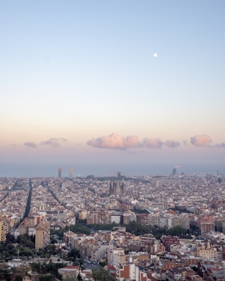 aerial view of city