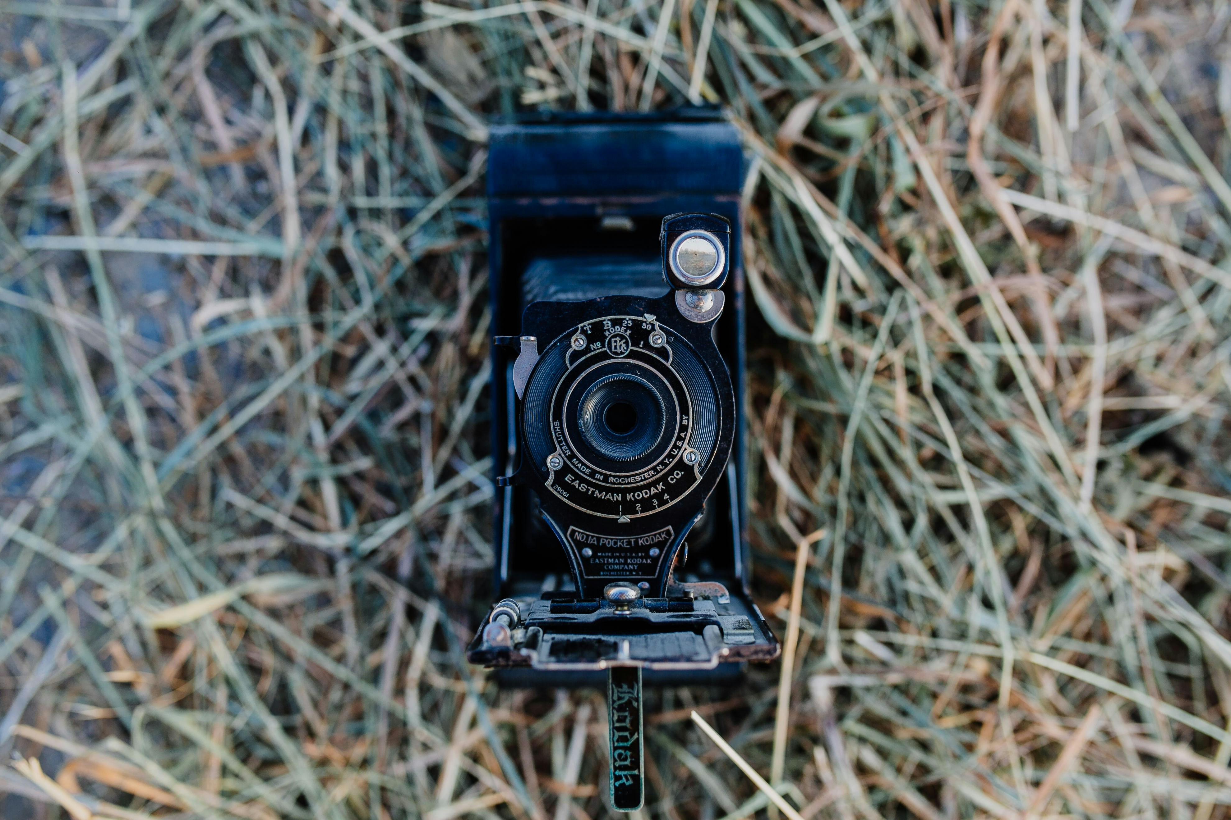 black and gray land camera on brown and green grass, 