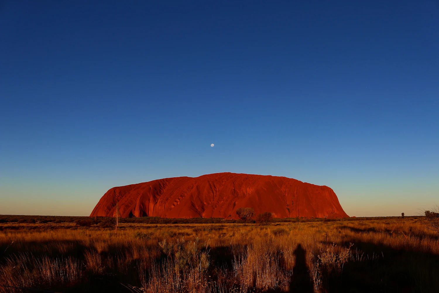 Uluru au coucher du soleil dans l'outback australien