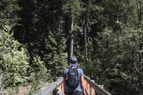 A traveler walking along a lush green forest path with a backpack.