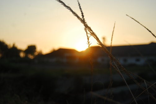 Photographer capturing a sunset in a rural landscape near Château-Gontier-sur-Mayenne