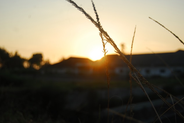 A cozy image of a romantic cowboy landscape at sunset.