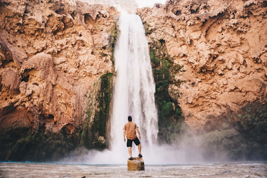 man standing on stone in front of waterfall in Havasupai Trailhead United States