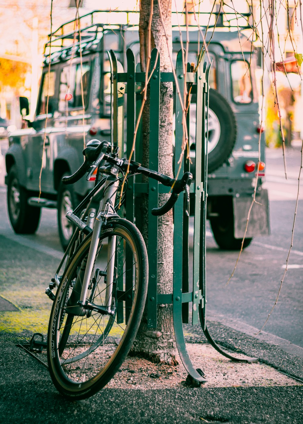 나무에 주차된 회색 도로 자전거