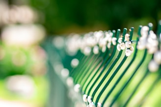 A green metal fence with white spiraled decorations running along its length. The image is well-focused on the fence while the background is blurred, showing hints of greenery and natural light, suggesting an outdoor setting.