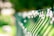 A green metal fence with white spiraled decorations running along its length. The image is well-focused on the fence while the background is blurred, showing hints of greenery and natural light, suggesting an outdoor setting.