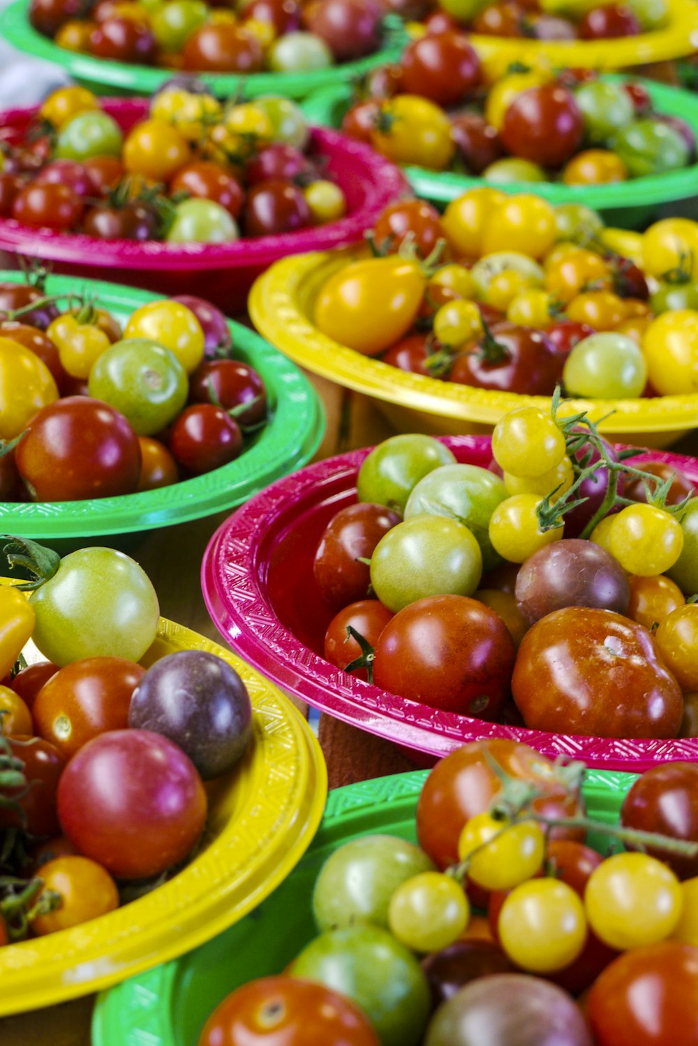 assorted-color tomato lot