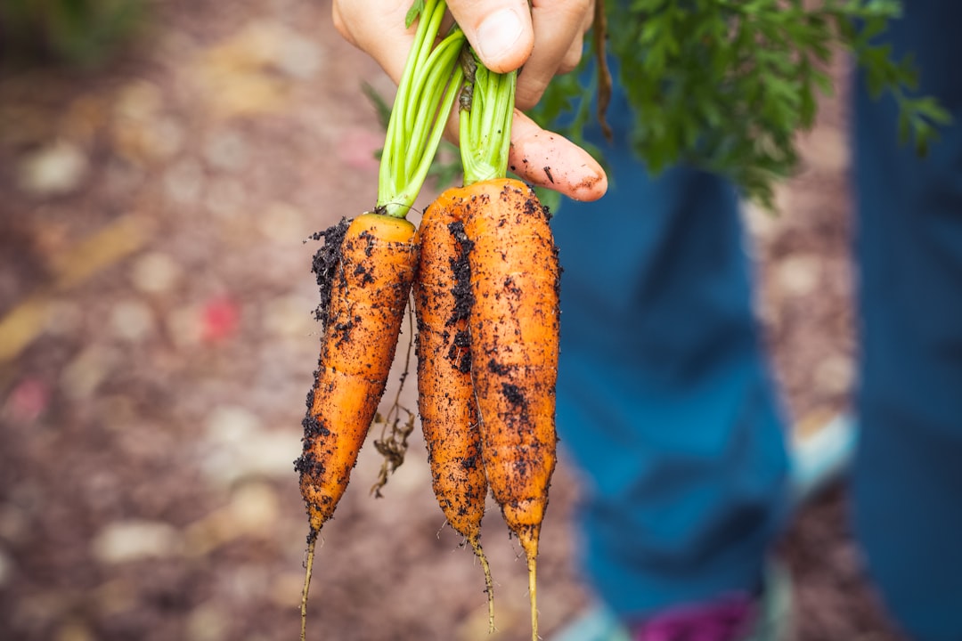 sustainable farming