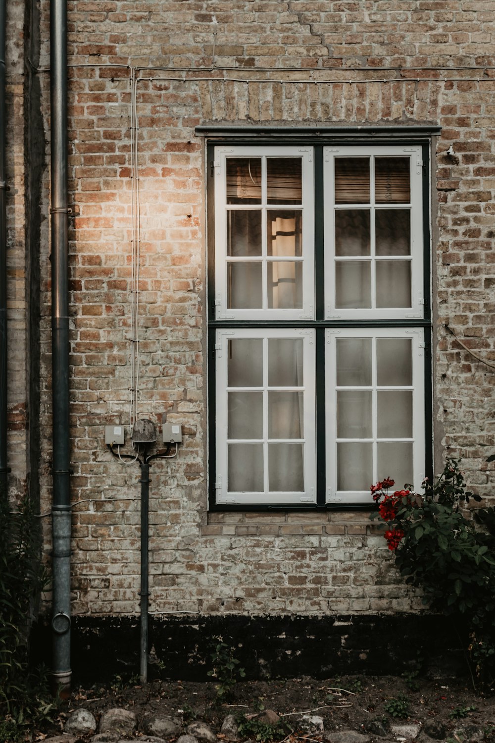 gray water pipe near white wooden framed glass windows