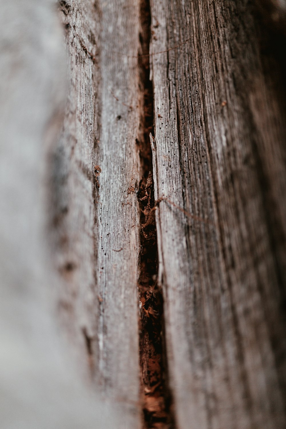 foco seletivo de madeira marrom