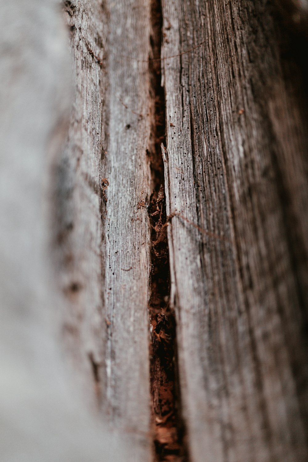 selective focus of brown wood