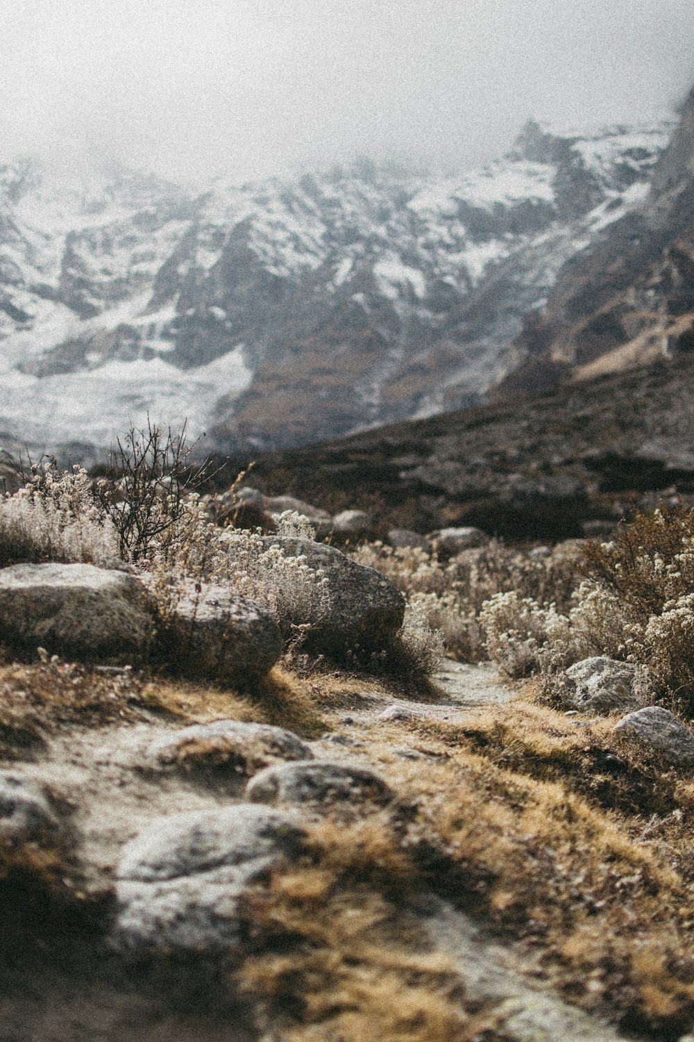 fotografia di paesaggio dell'erba attraverso la montagna