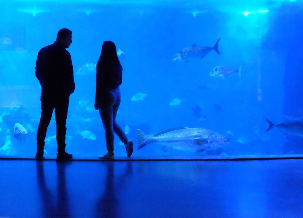 Dubai Aquarium in Dubai