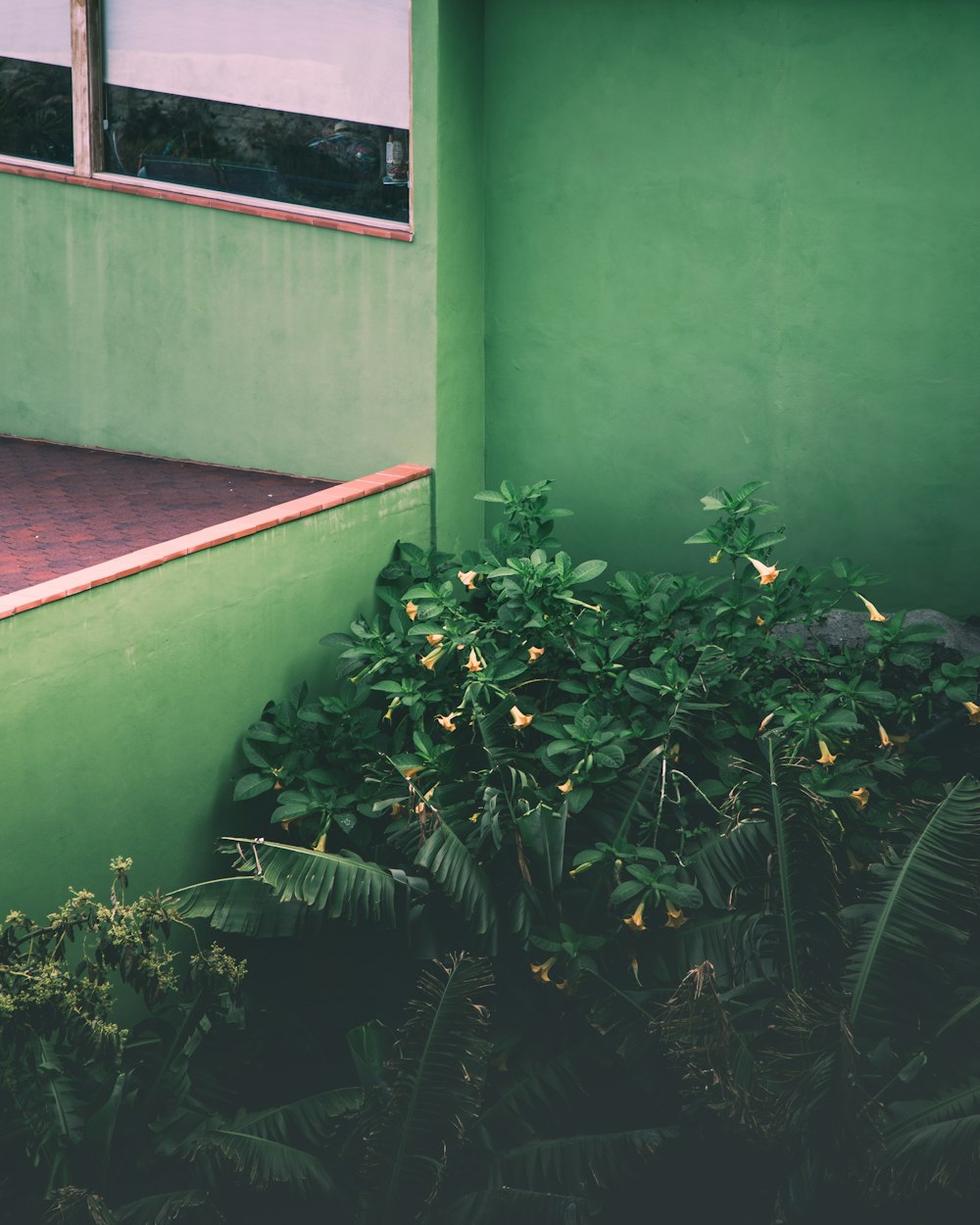 a green building with a red brick walkway