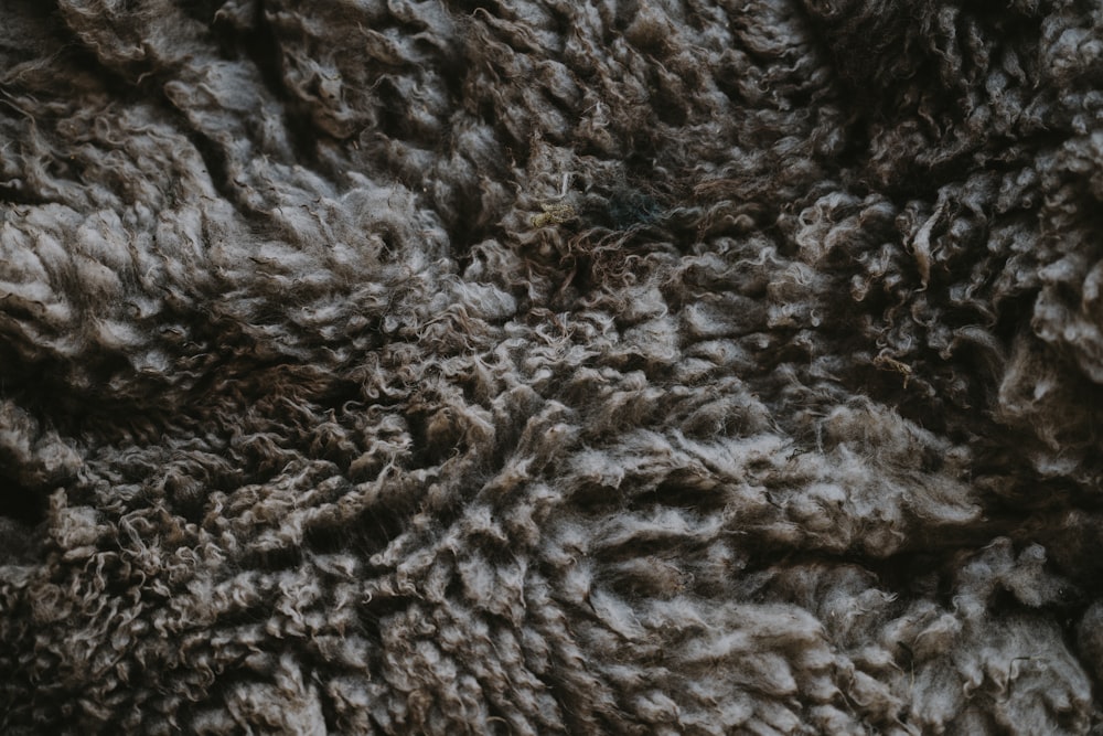 textile gris
