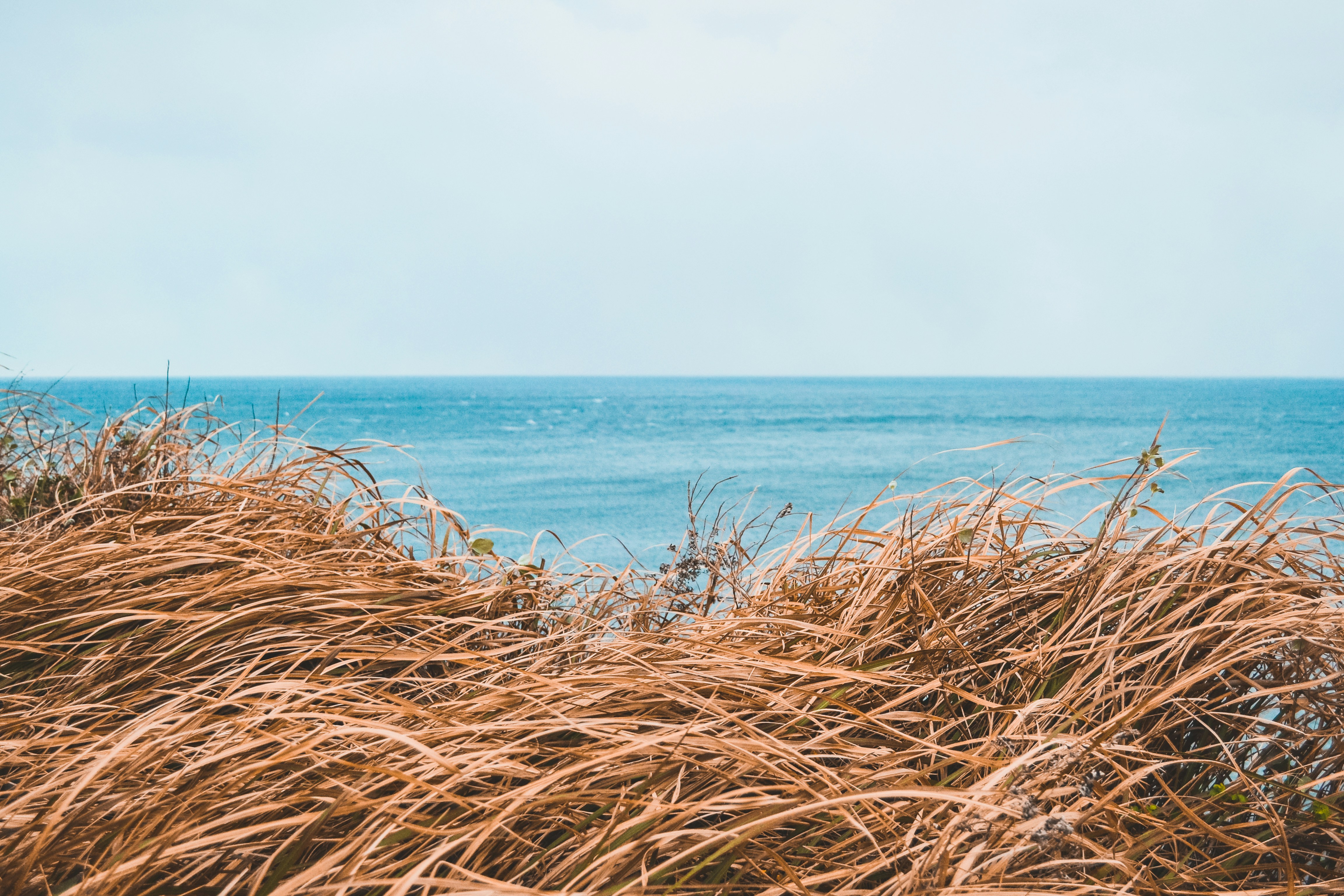 brown hay near body of water, Dug around some old photos and found a stack from Korea 6 years ago. Really liked the simplistic nature of this composition, just some grass and the sea.
