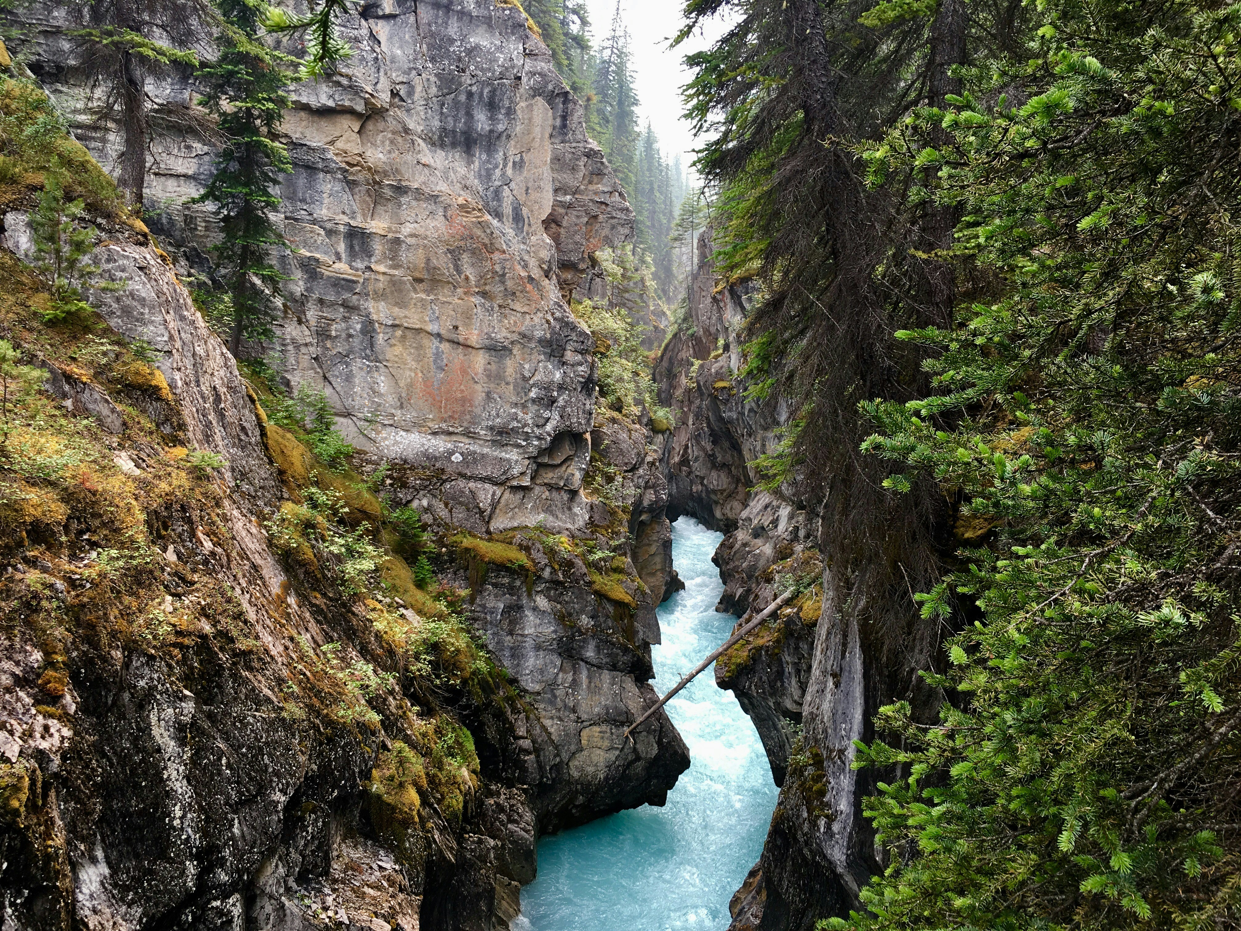 Photo by kennybittick1