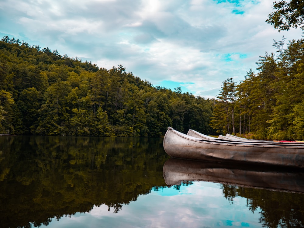 white canoe on river surrounded by trees