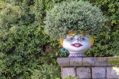 green leafed plant in white Buddha head pot