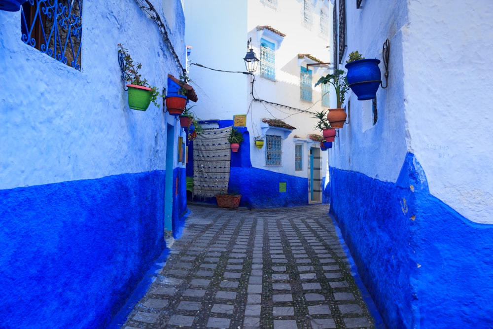 empty gray concrete pathway between white-and-blue concrete buildings during daytime