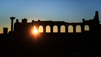 Sunset over the ancient ruins of Palmyra, casting long shadows across the desert.