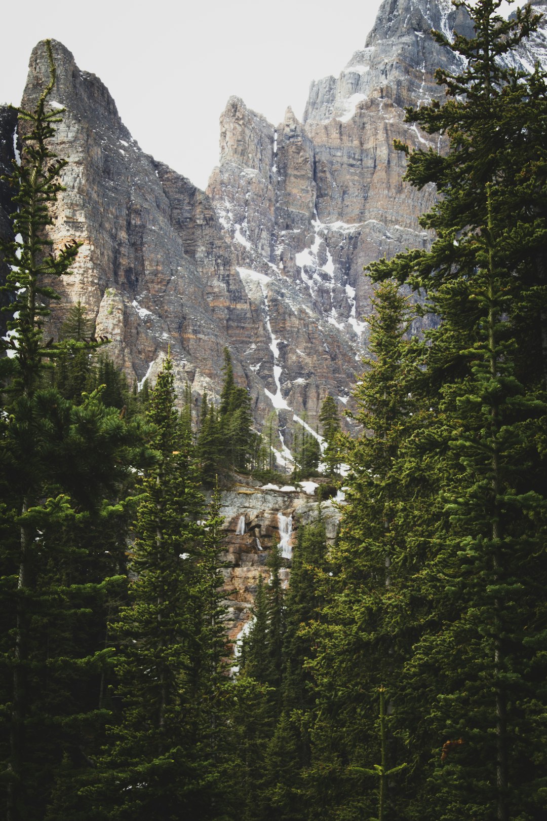 Tropical and subtropical coniferous forests photo spot Banff Elbow Falls