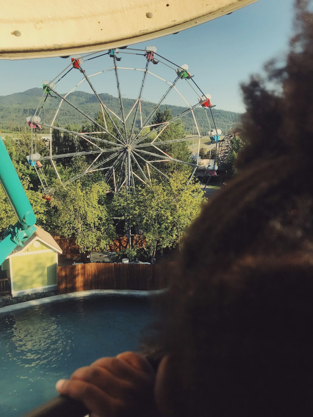 gray ferris wheel surrounded by trees