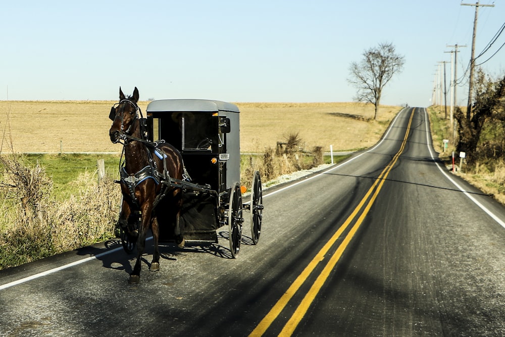 道路上の馬と馬車
