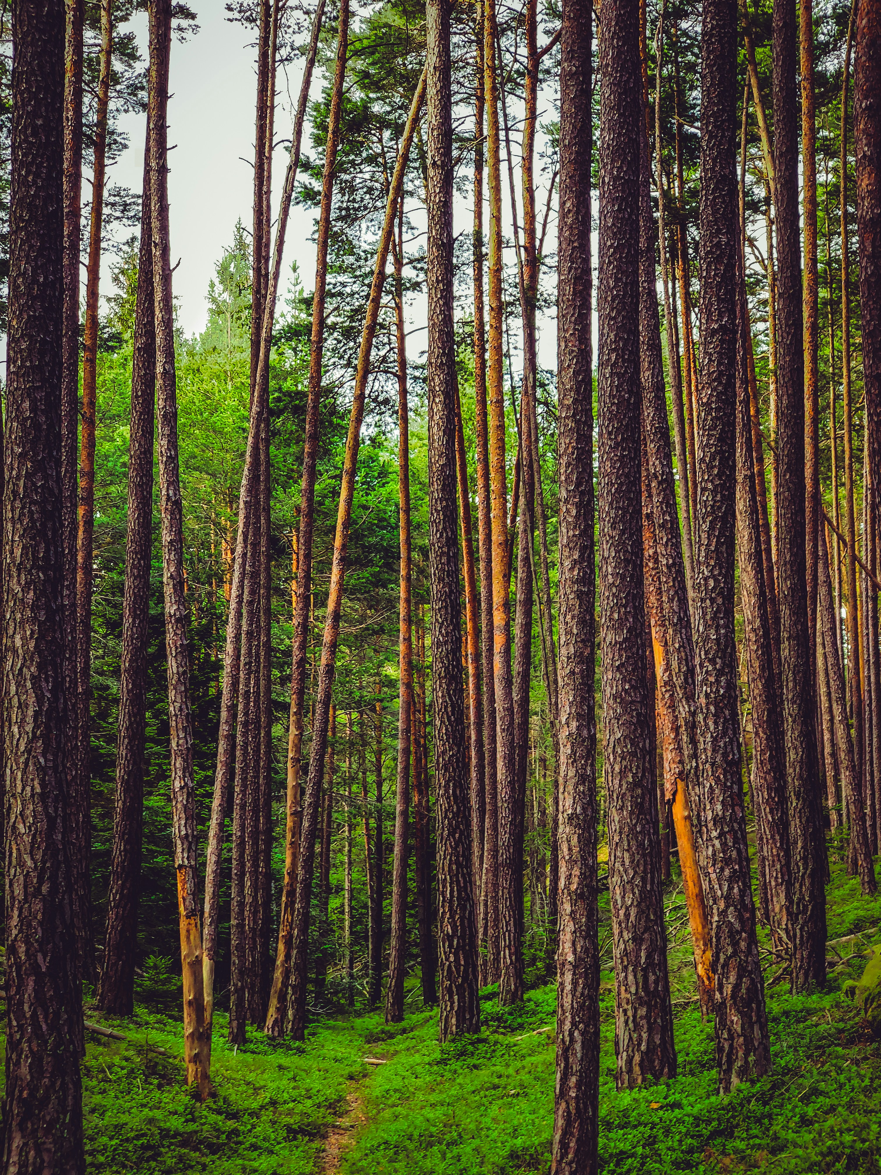 Photo by babacappello